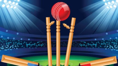 cricket